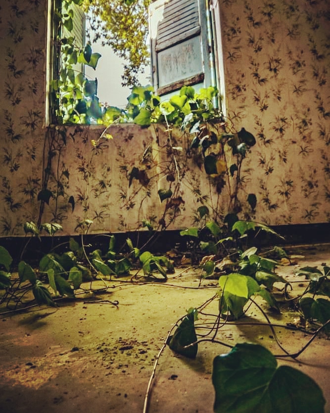 When mother nature takes&nbsp;back..